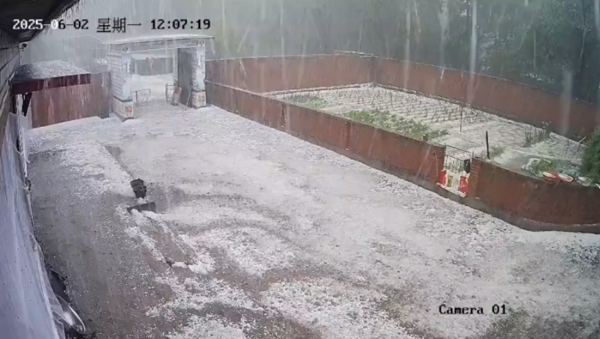 今晚澳门精确一肖一码,中国已向乌提供4批人道主义援助,精准解释落实的人生哲理_试用版V11.18