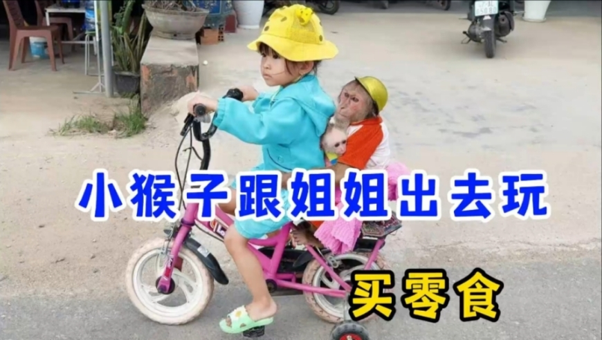 香港新一代跑狗论坛2025,荒野乱斗可以攻击队友了,展开解析落实_静态版V6.57
