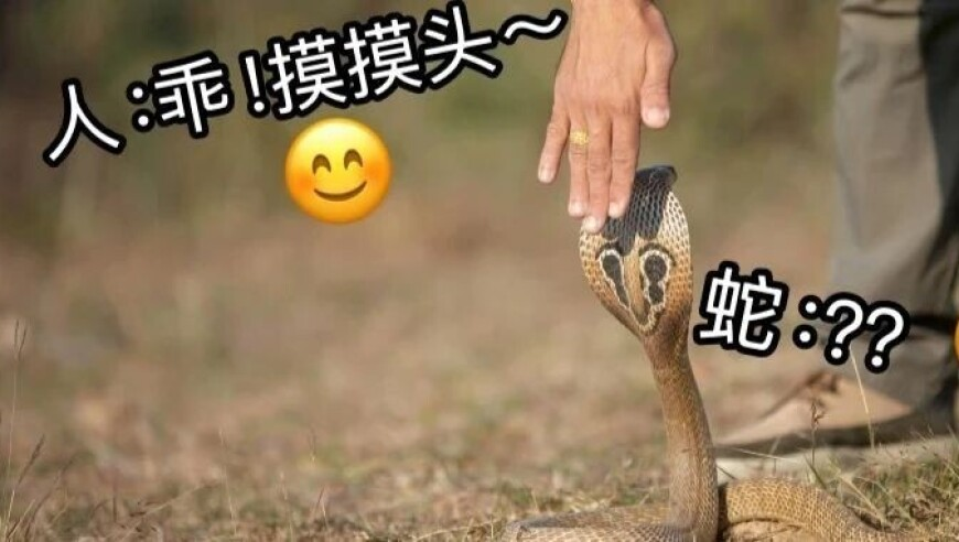 香港澳门资料大全博色表,湖北银行迎来新任掌门人,成语解释落实可能存在的问题_界面版V5.35